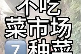 开云app官网入口登录截图2